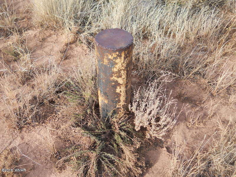 3995 Cortez Road Snowflake, AZ 85937 - Photo 6 of 17 a view of a bench in a forest