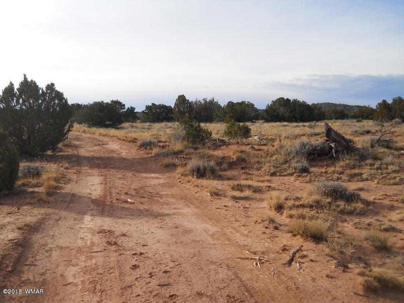 3995 Cortez Road Snowflake, AZ 85937 - Photo 7 of 17 a view of a lake view