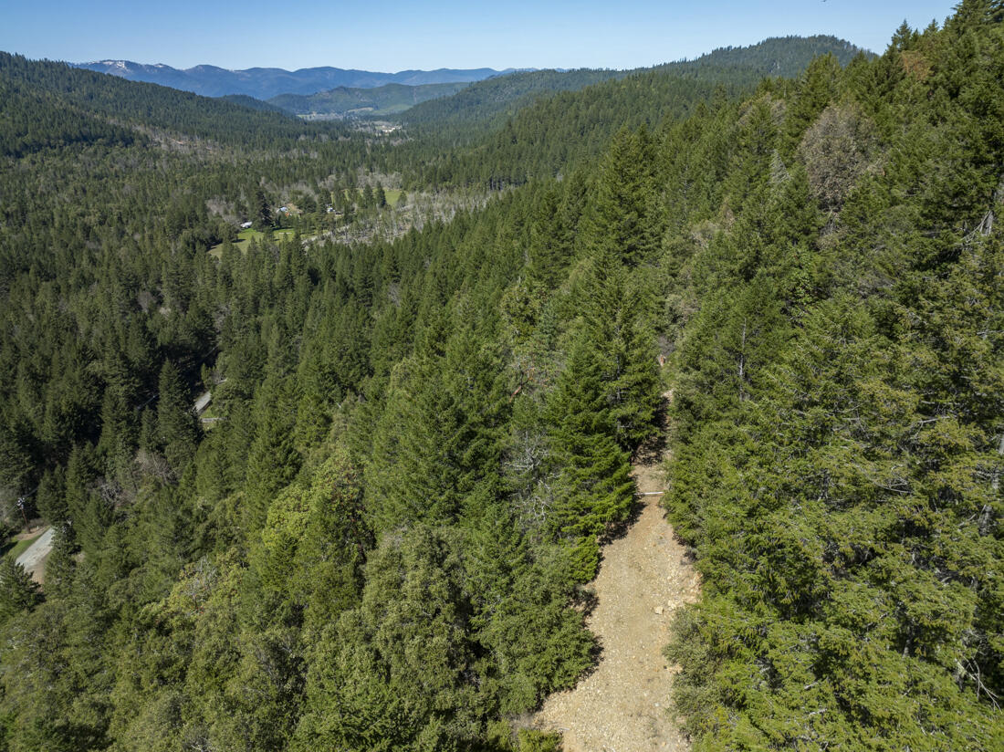 550 Terrace Heights Road Selma, OR 97538 - Photo 21 of 26 DJI_0026