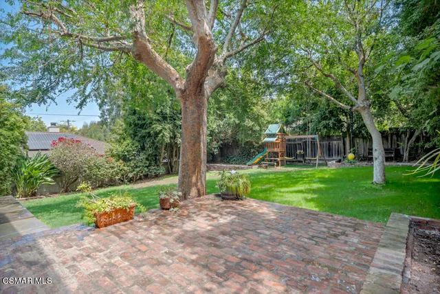 a view of a yard with plants and large trees