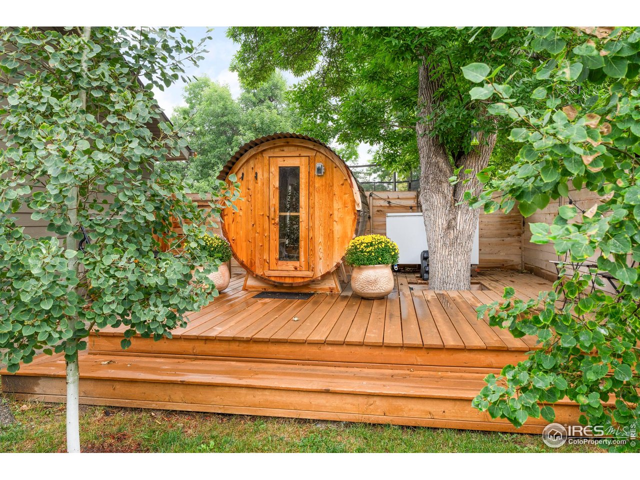 2589 Alkire Street Golden, CO 80401 - Photo 49 of 50 a view of yard along with trees