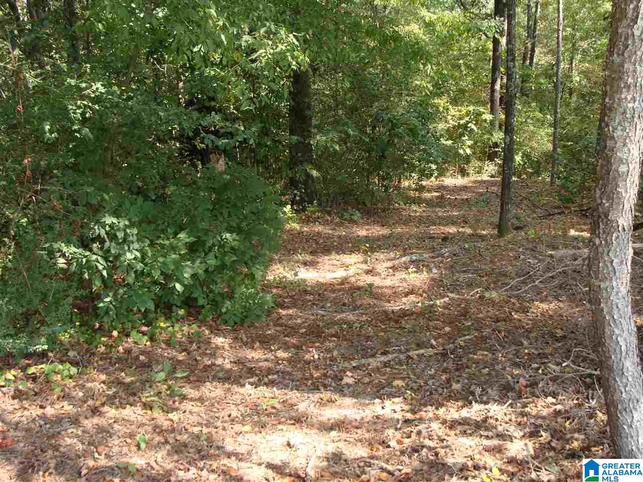 9385 Miller Road, Unit 1 Warrior, AL 35180 - Photo 2 of 5