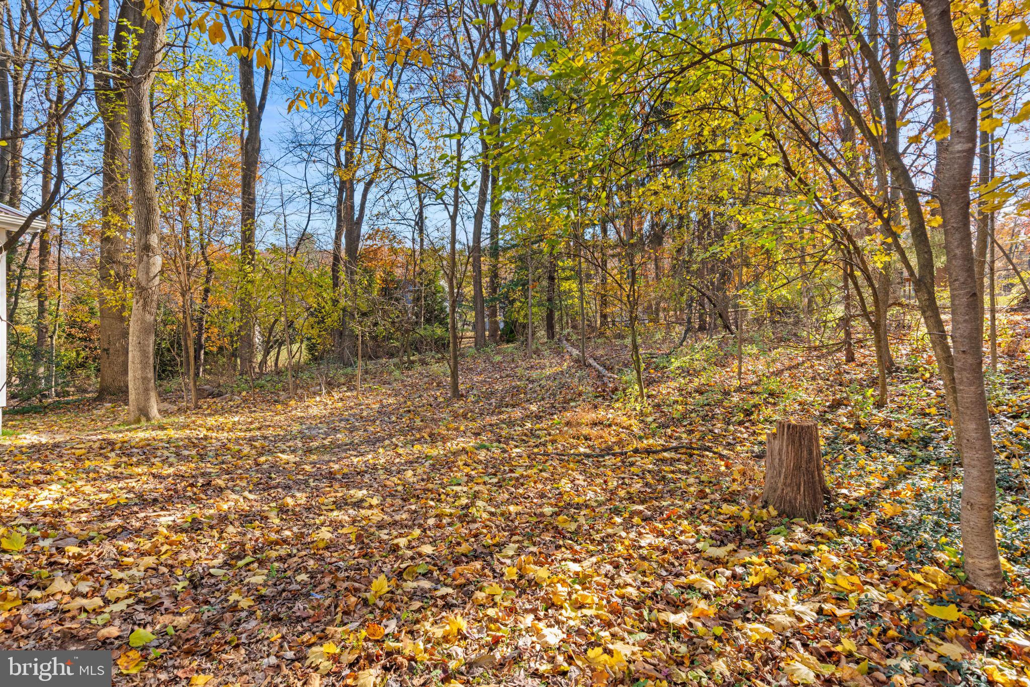 560 Hill Church Road Hummelstown, PA 17036 - Photo 58 of 58