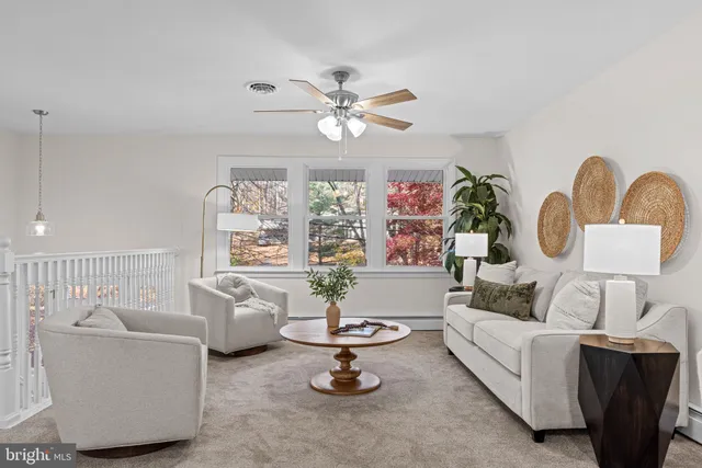 a living room with furniture flowerpot and window