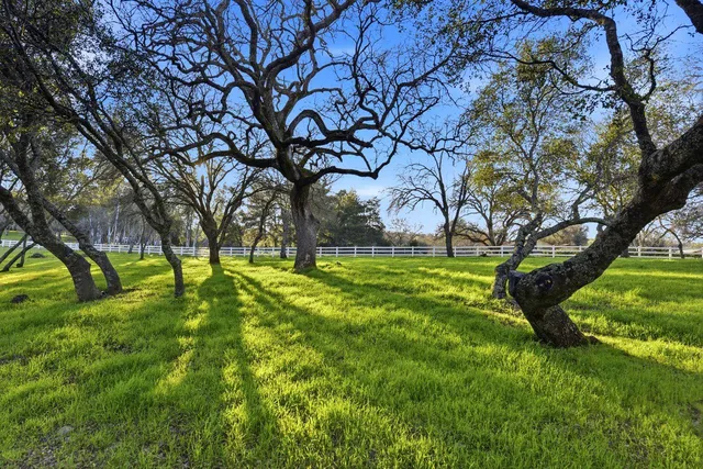 a living room with furniture a window and wooden floor