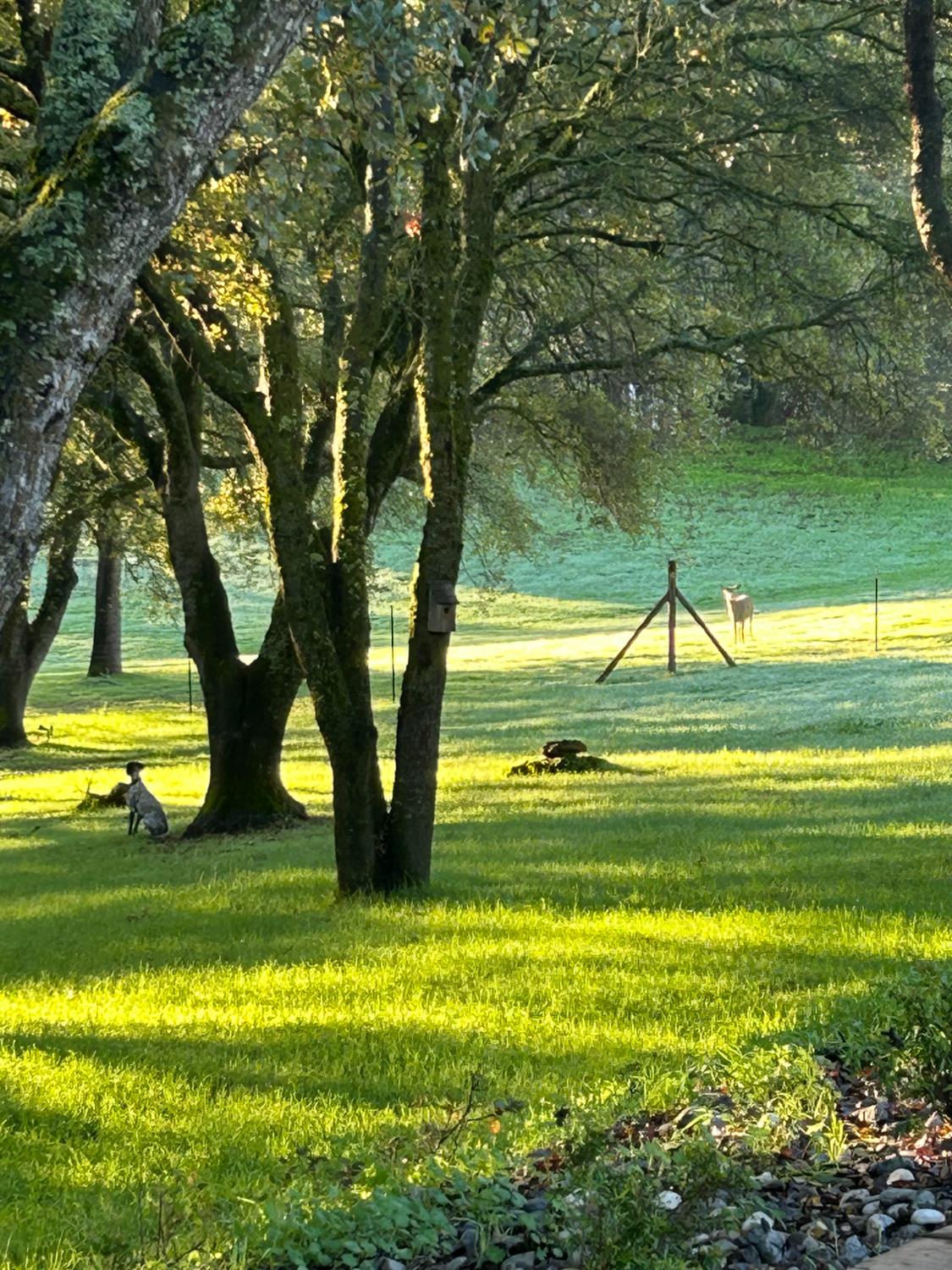 1900 Deer Valley Road Rescue, CA 95672 - Photo 67 of 74