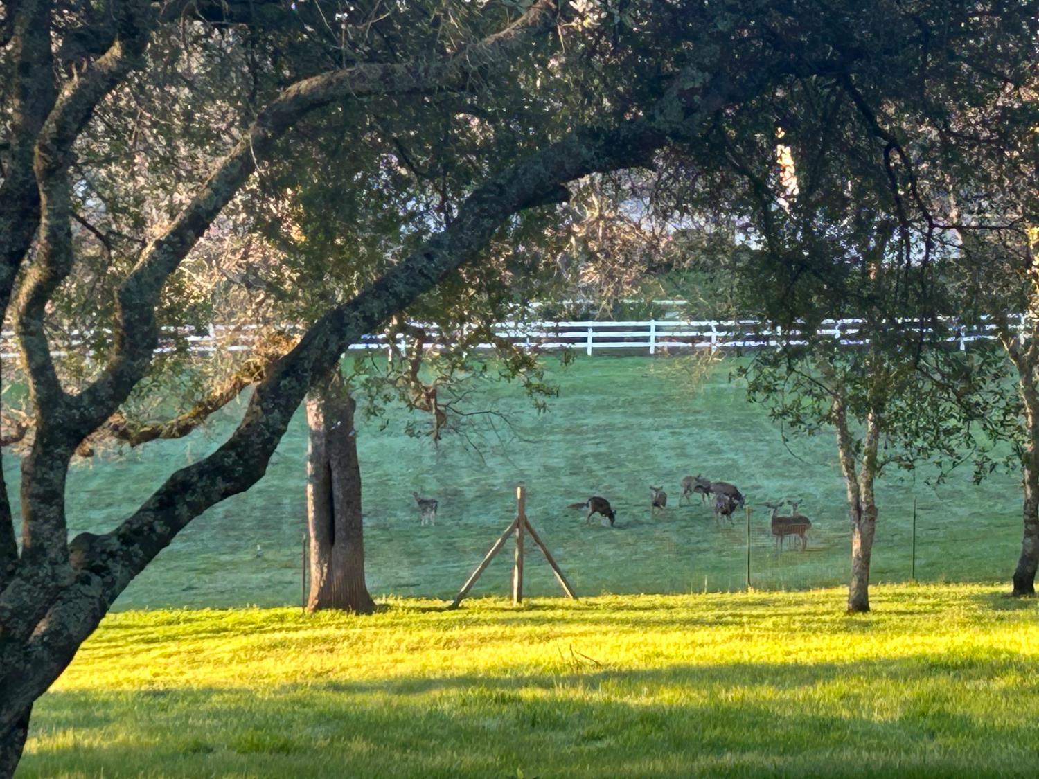 1900 Deer Valley Road Rescue, CA 95672 - Photo 69 of 74