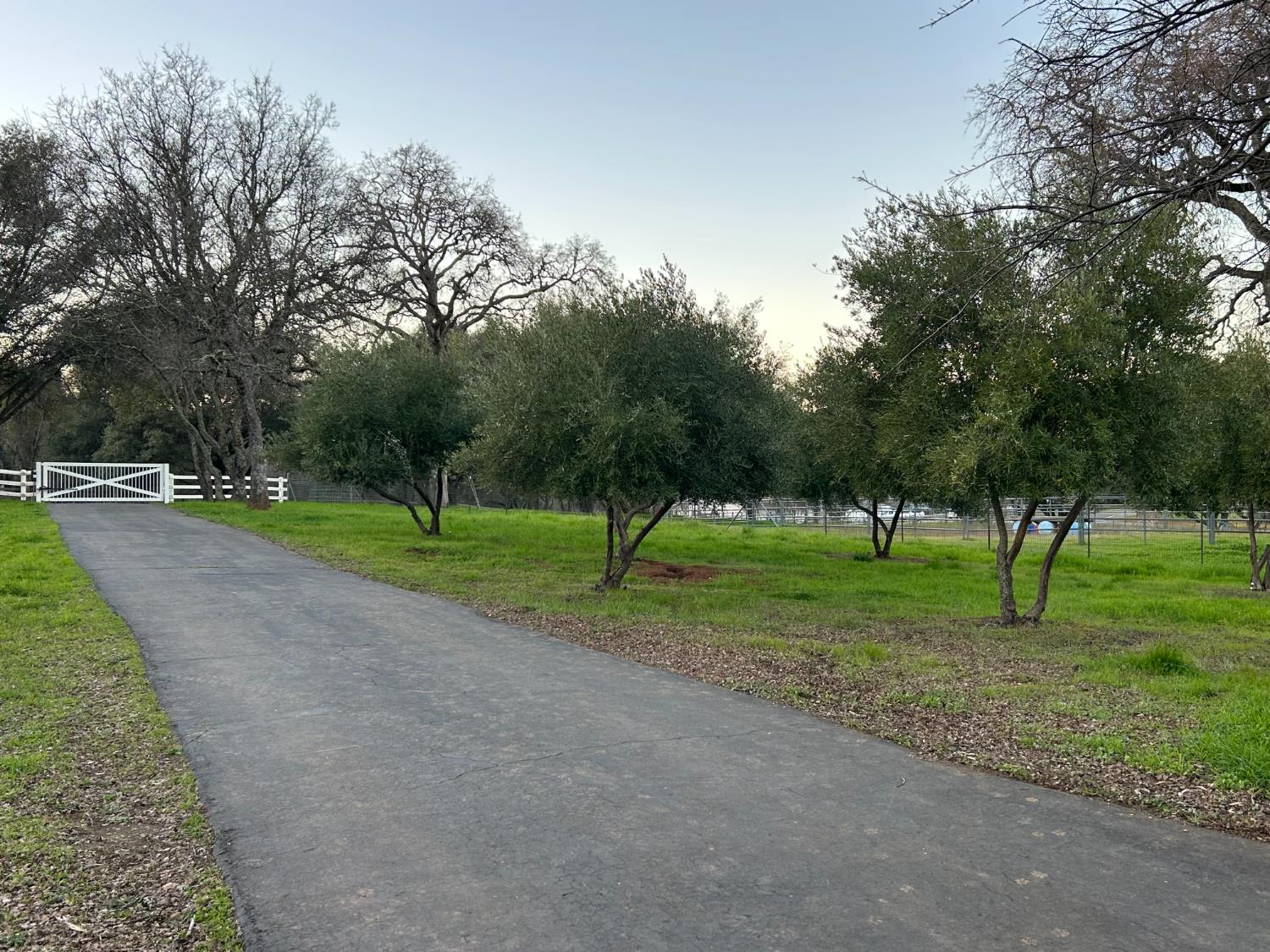 1900 Deer Valley Road Rescue, CA 95672 - Photo 72 of 74