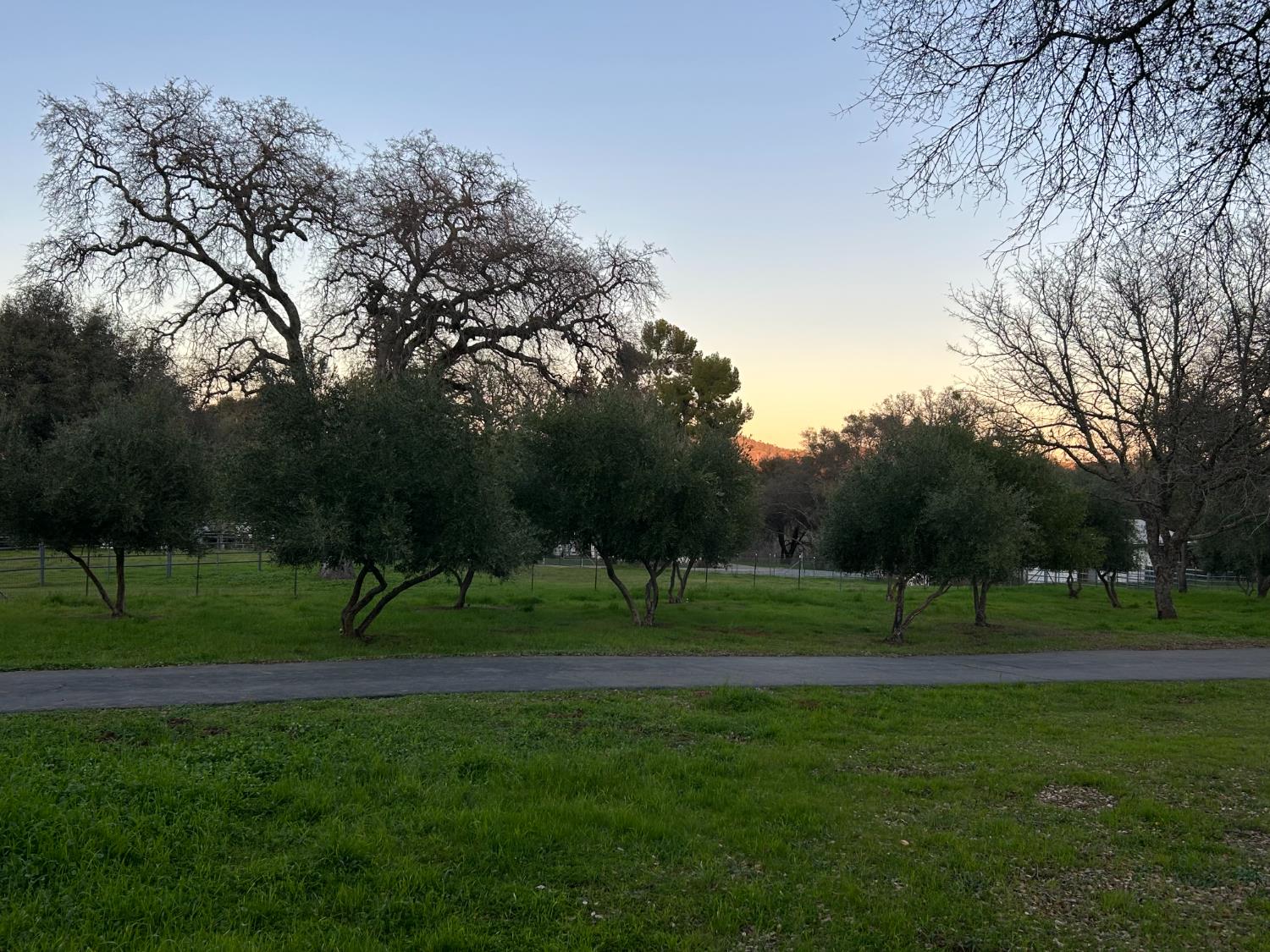 1900 Deer Valley Road Rescue, CA 95672 - Photo 73 of 74