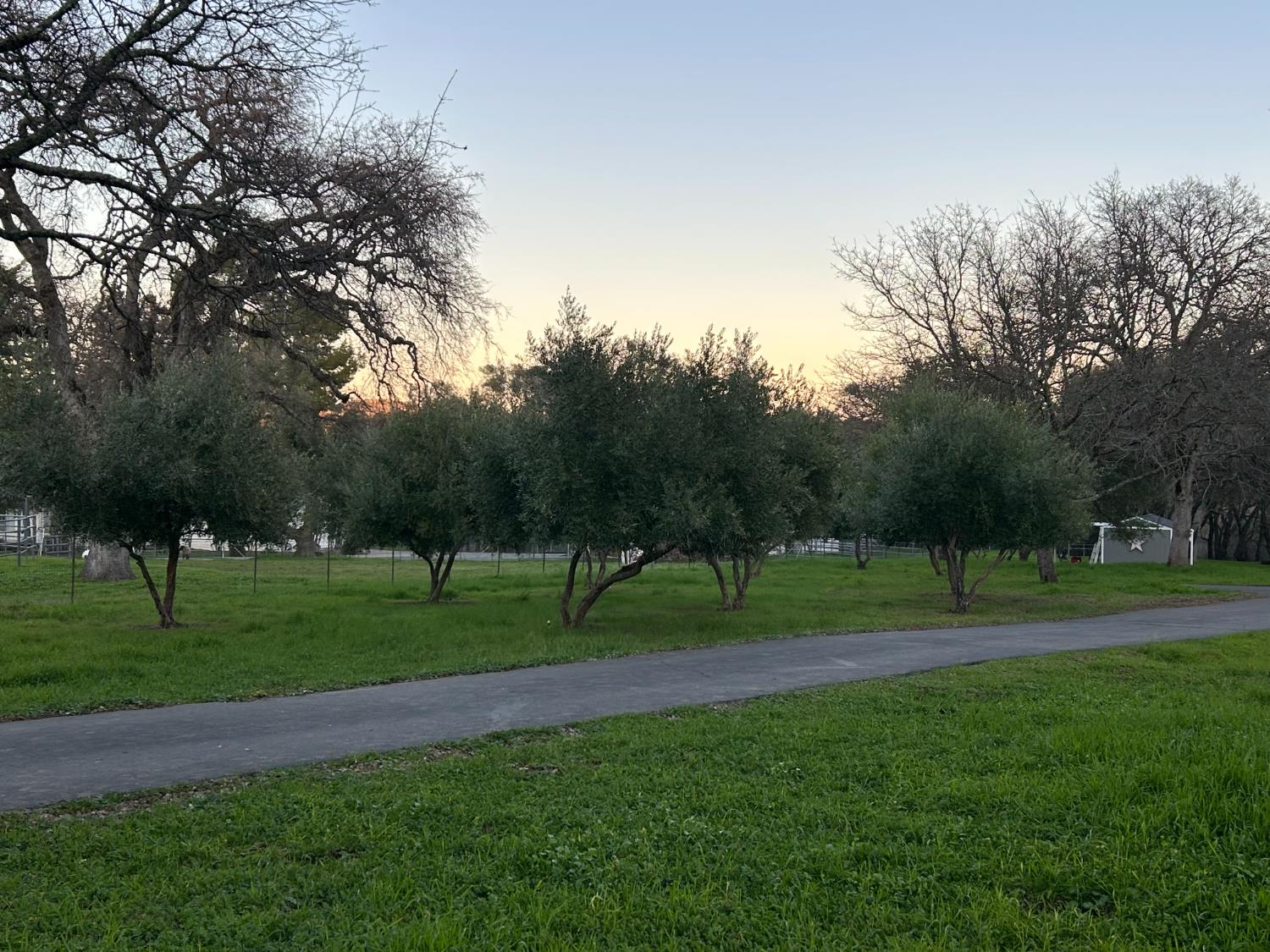 1900 Deer Valley Road Rescue, CA 95672 - Photo 74 of 74