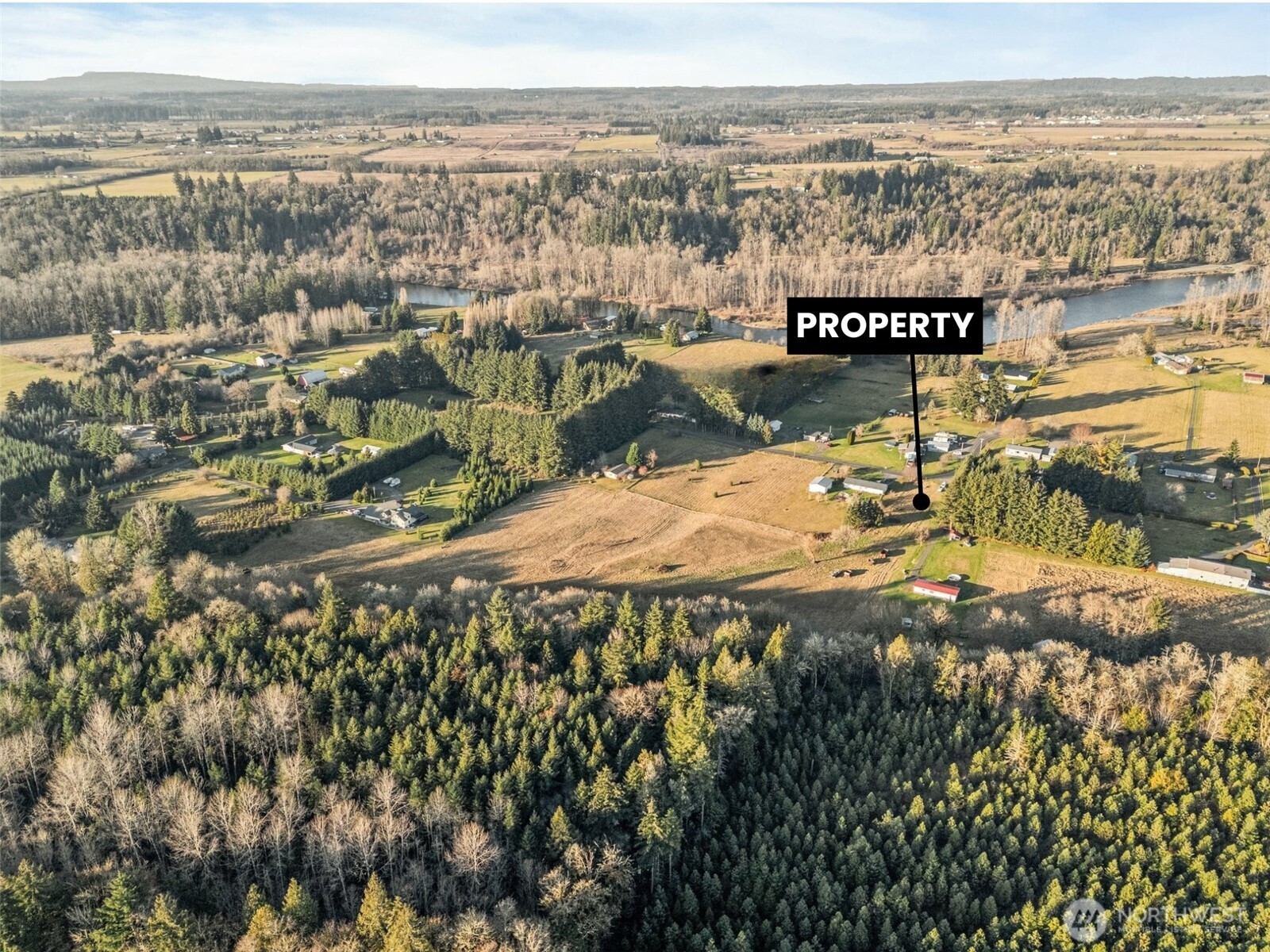434 B Collins Road Toledo, WA 98591 - Photo 5 of 15