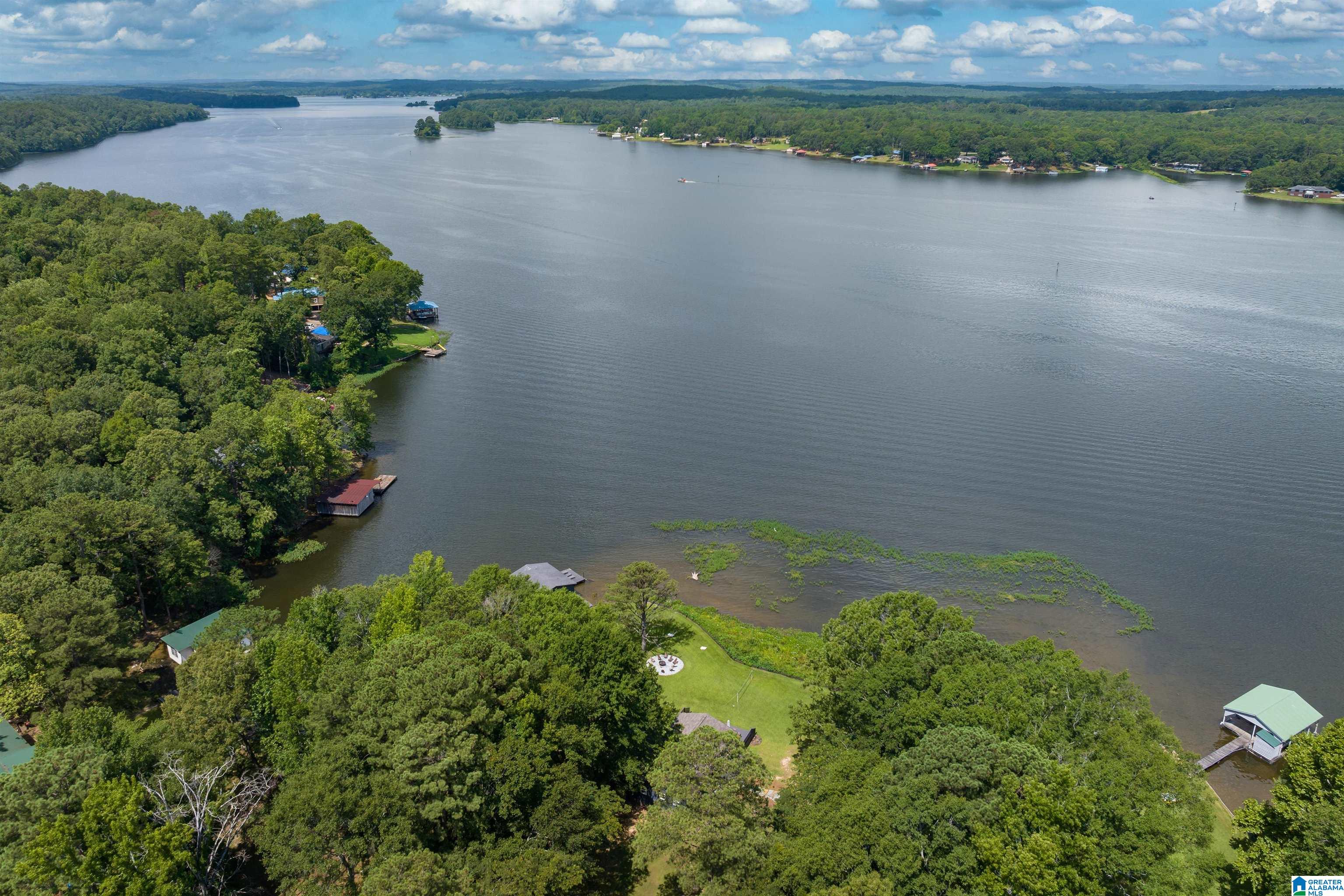905 Lake Howard Road Sylacauga, AL 35150 - Photo 4 of 38