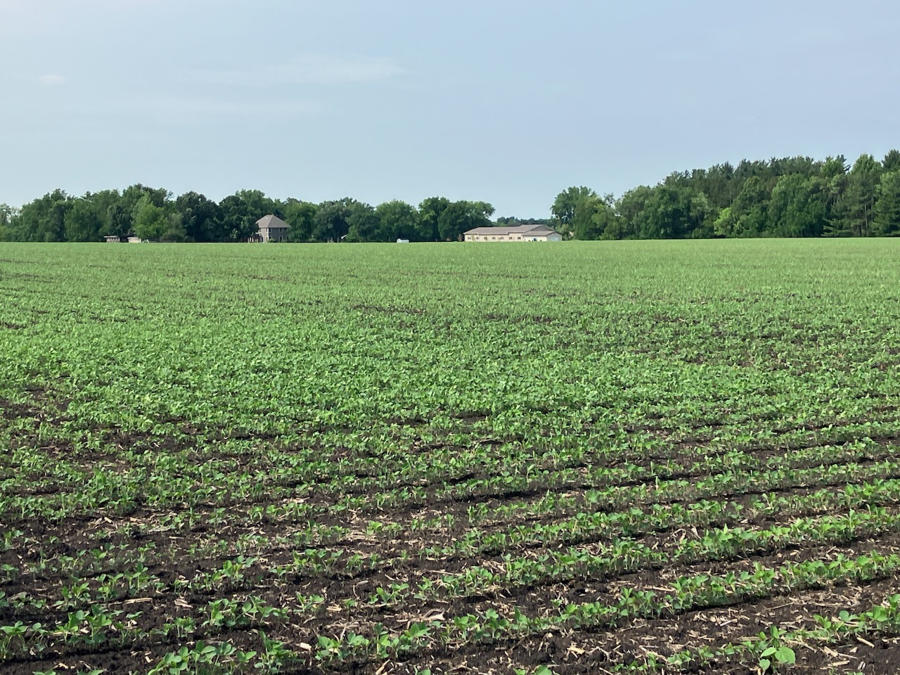 0 Center Road Rochelle, IL 61068 - Photo 25 of 32