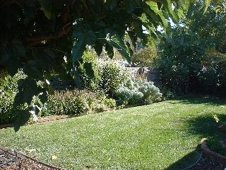 70 Labrea Way San Rafael, CA 94903 - Photo 6 of 6 Gallery Image 6