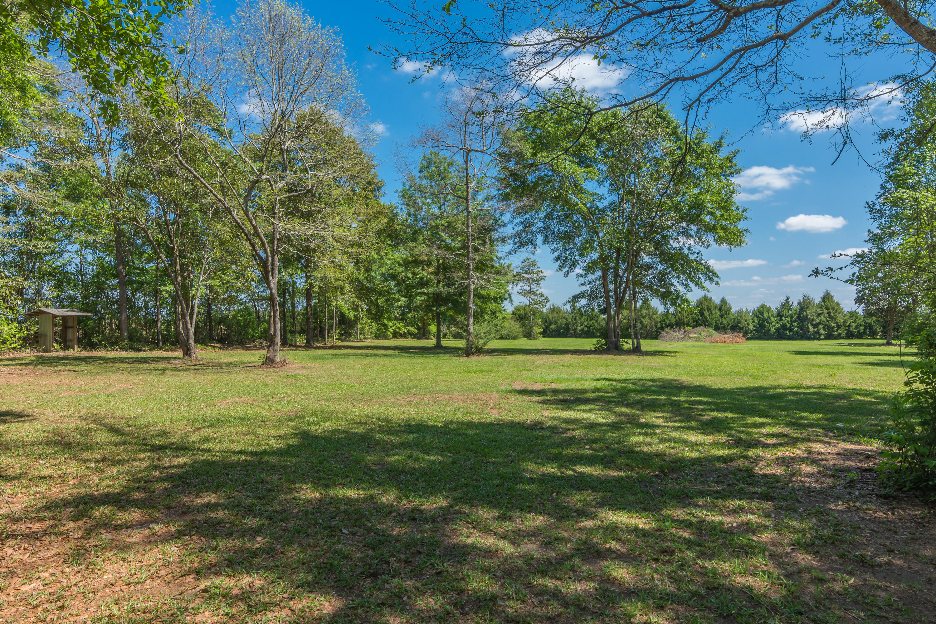 5995 Jack Stokes Road Baker, FL 32531 - Photo 60 of 60 a view of a field with trees