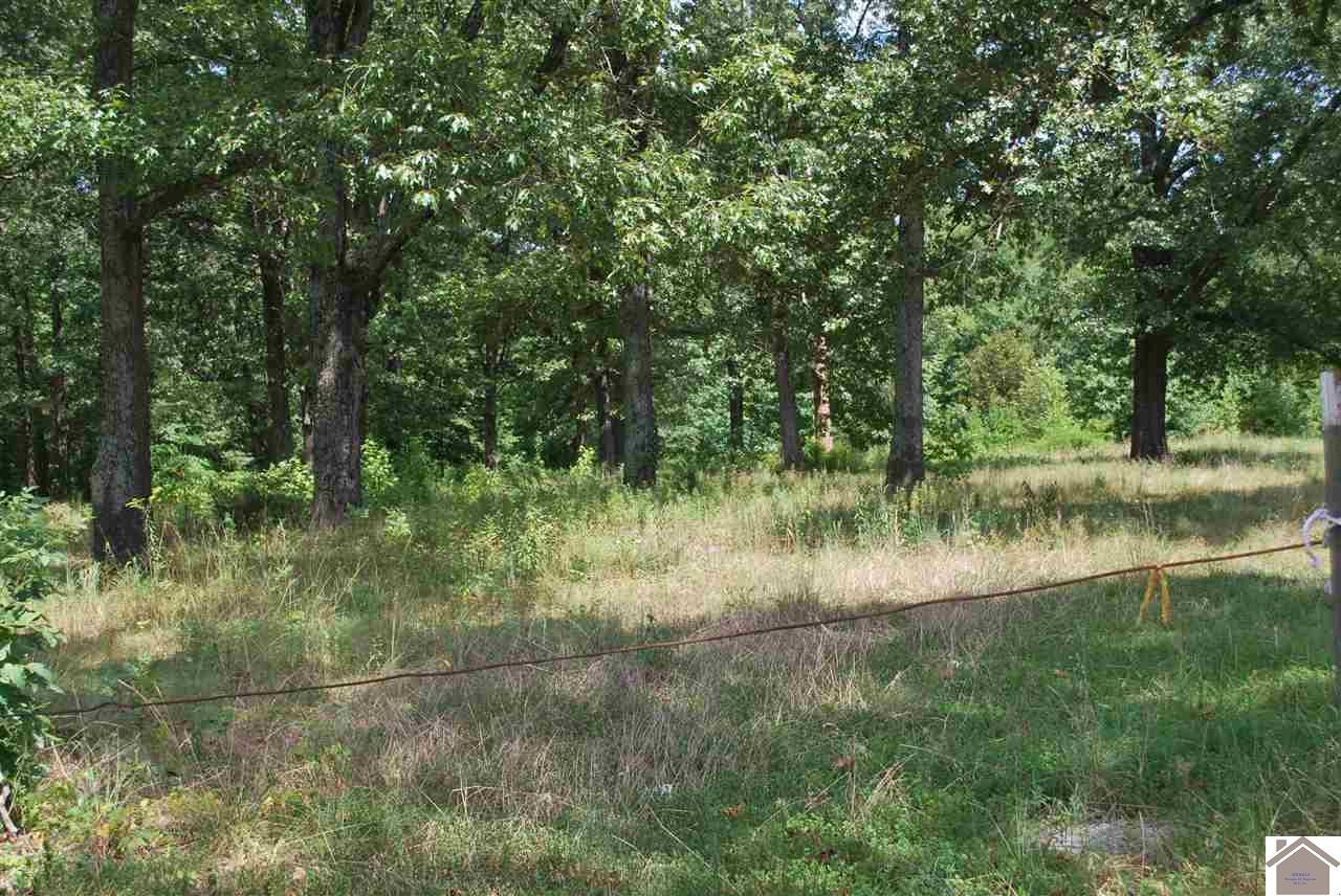 3524 Husband Road Paducah, KY 42003 - Photo 1 of 1 Photo 1