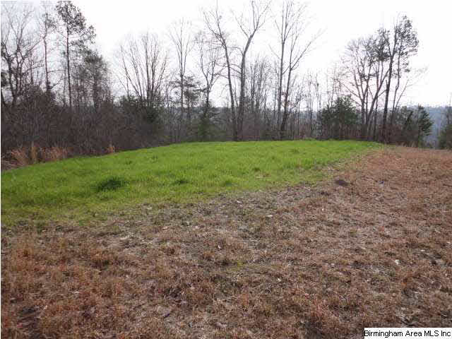 Donald Avenue, Unit 24 Attalla, AL 35954 - Photo 8 of 15