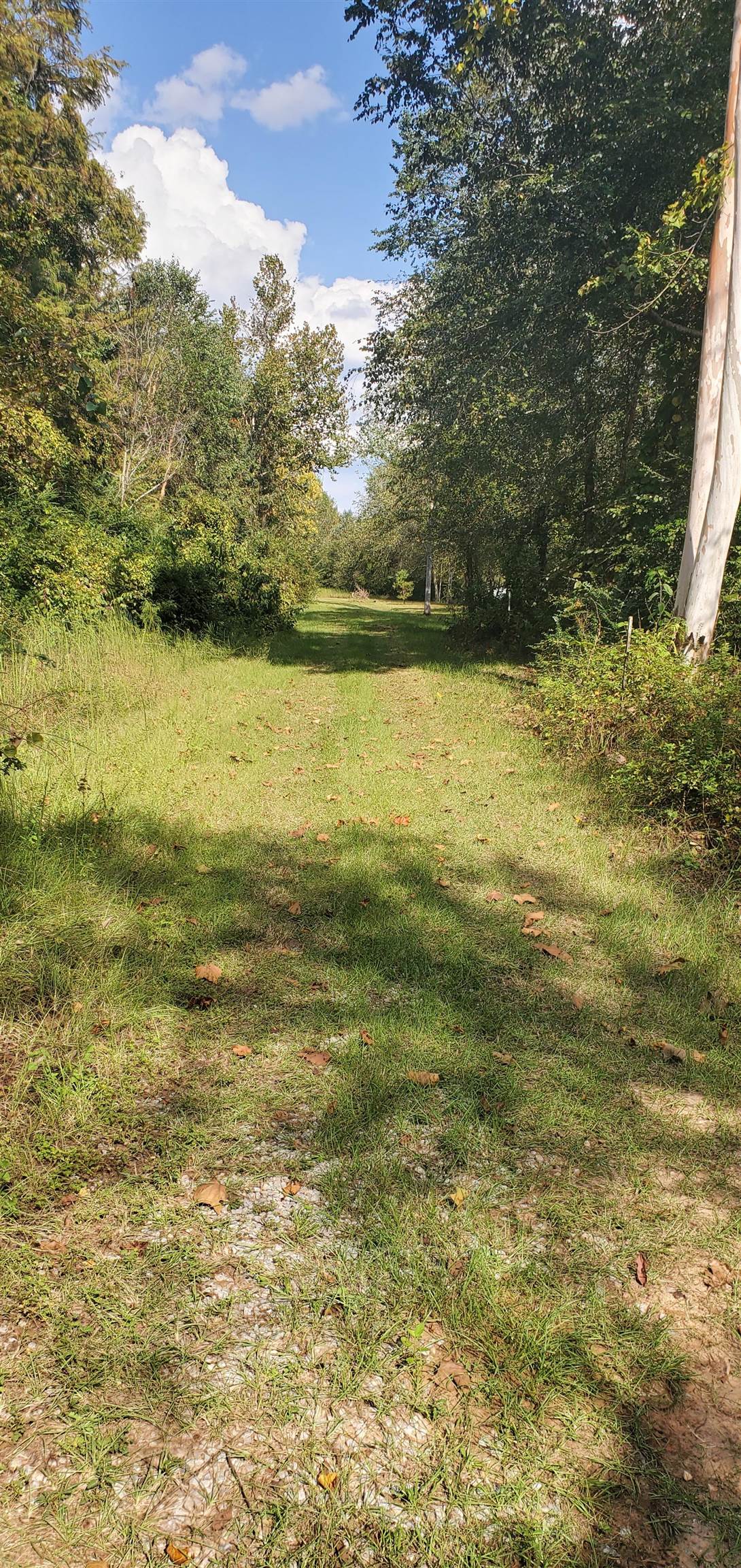 28420 Harbor Road Andalusia, AL 36421 - Photo 3 of 9 Gallery Image 3