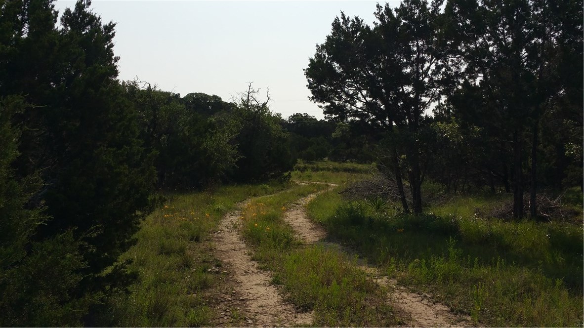 949 Rd Leander Tx 78641 Road Leander, TX 78641 - Photo 1 of 1 Gallery Image 1