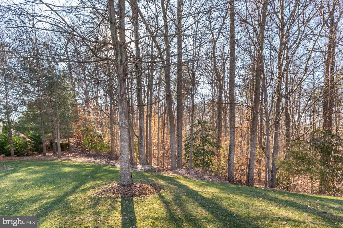 3120 Hickory Ridge Road Dunkirk, MD 20754 - Photo 61 of 69
