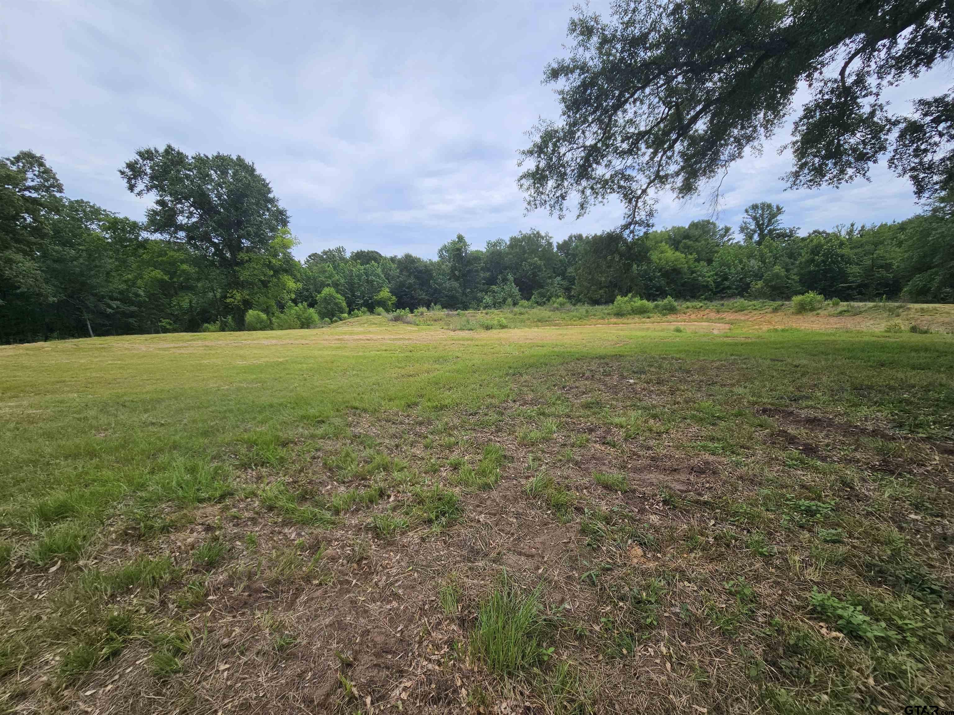 4644 Giraffe Road Gilmer, TX 75644 - Photo 18 of 20