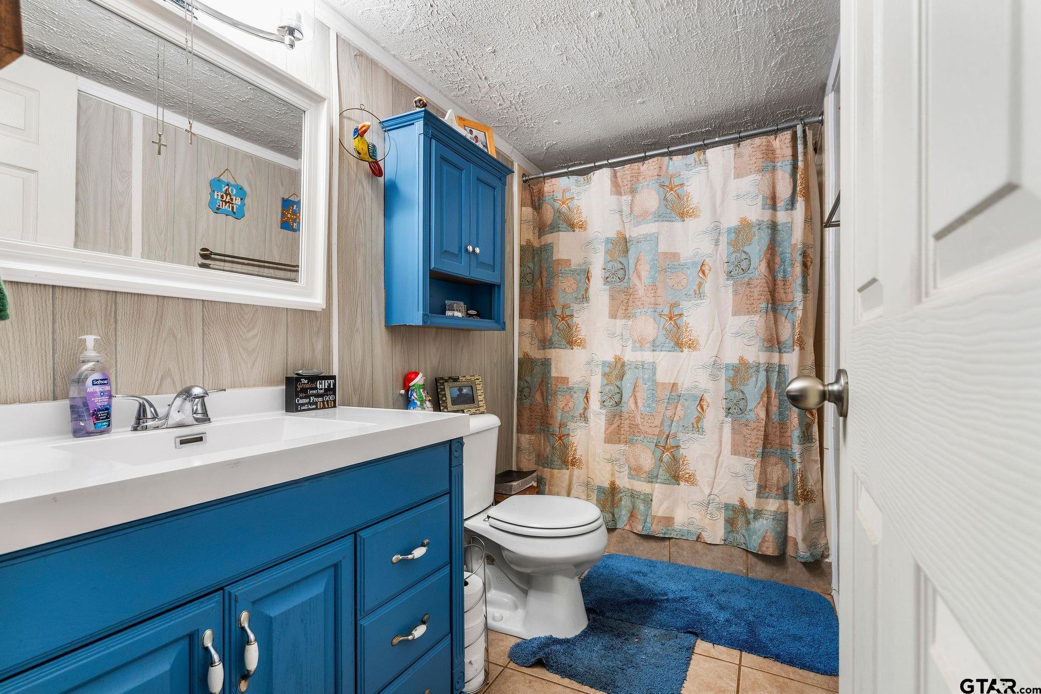 4550 Crabapple Road Gilmer, TX 75645 - Photo 19 of 33 a bathroom with a sink a toilet and shower