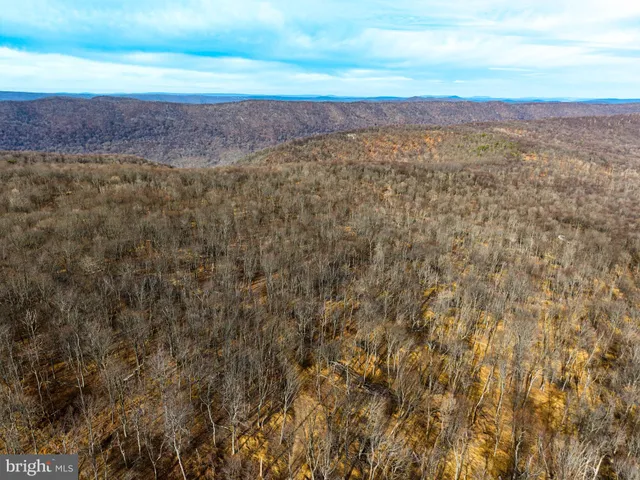a view of a city with an ocean beach