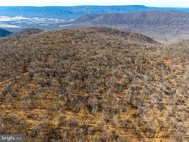 a view of a field with an ocean