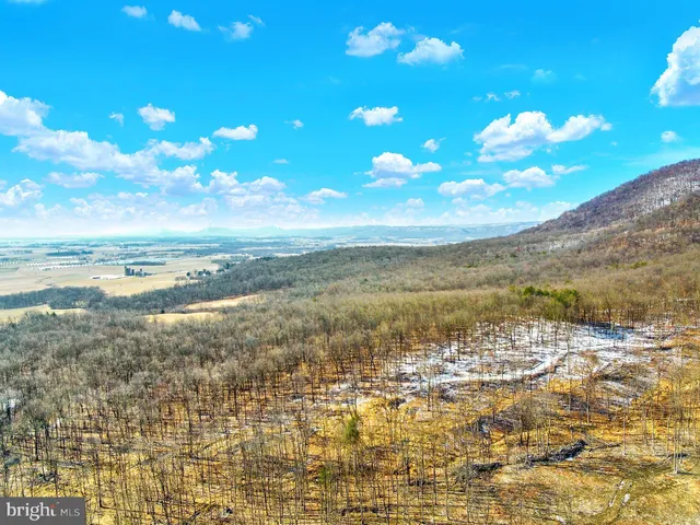 a view of a pathway of a yard next to a lake