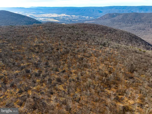 a view of a dry yard
