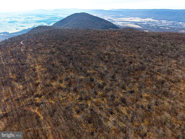 a view of an ocean beach