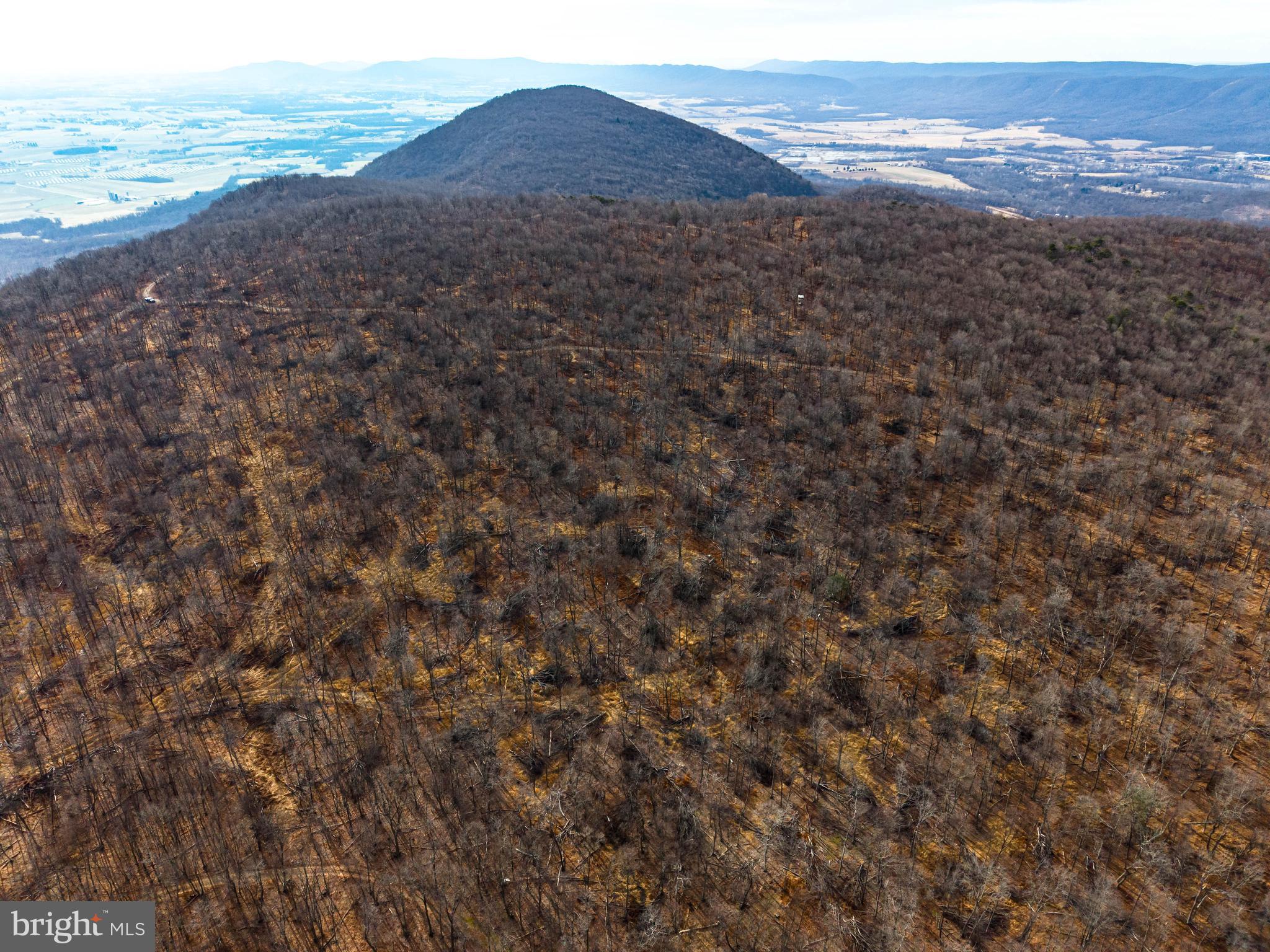 0 Appleway St. Thomas, PA 17252 - Photo 19 of 46