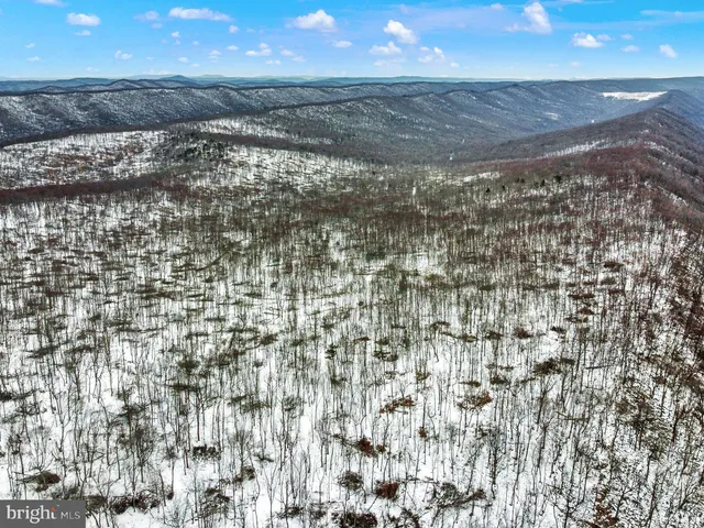 a view of a dry yard
