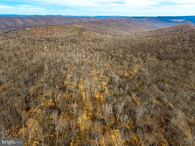 a view of city and an ocean
