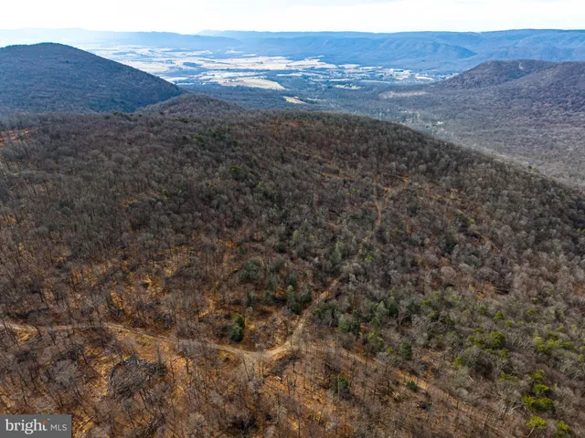 a view of a dry yard