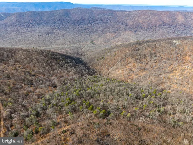 a view of a yard with an ocean