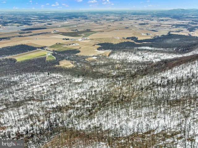 a view of lot of trees