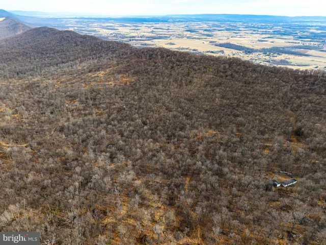 a view of an ocean and beach