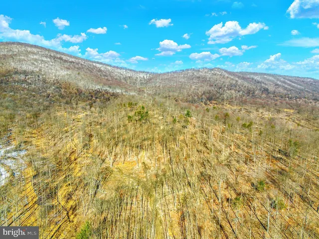 a view of a yard with swimming pool