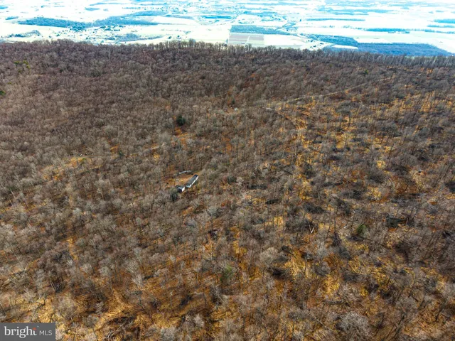 a view of an ocean and beach