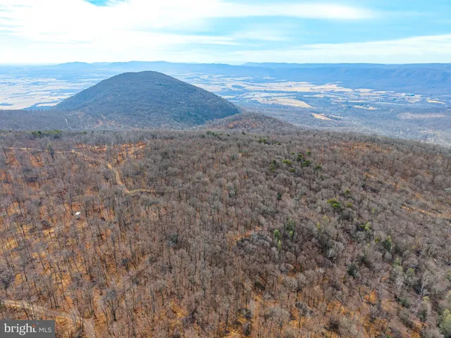 a view of a dry yard with trees