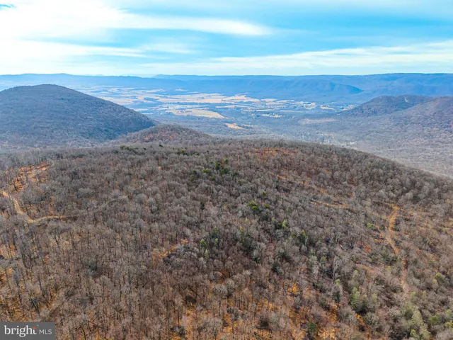 a view of beach and ocean