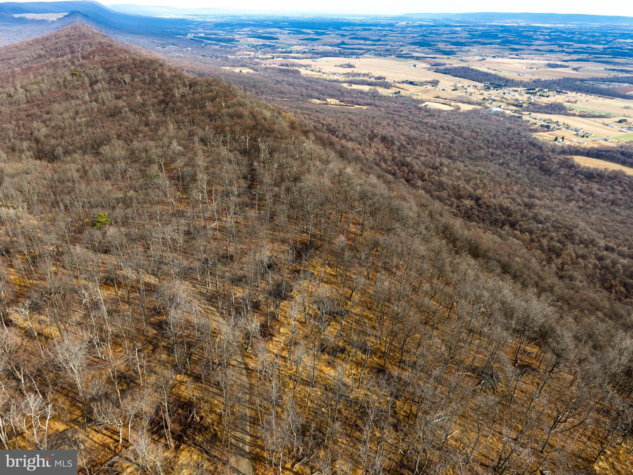 0 Appleway St. Thomas, PA 17252 - Photo 4 of 46