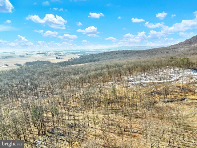 a view of city and building in the background