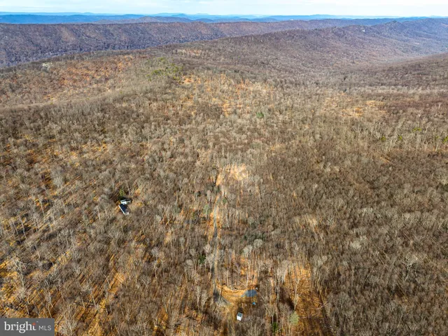 a view of a dry yard with trees in the background