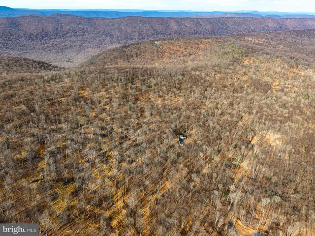 a view of a dry yard