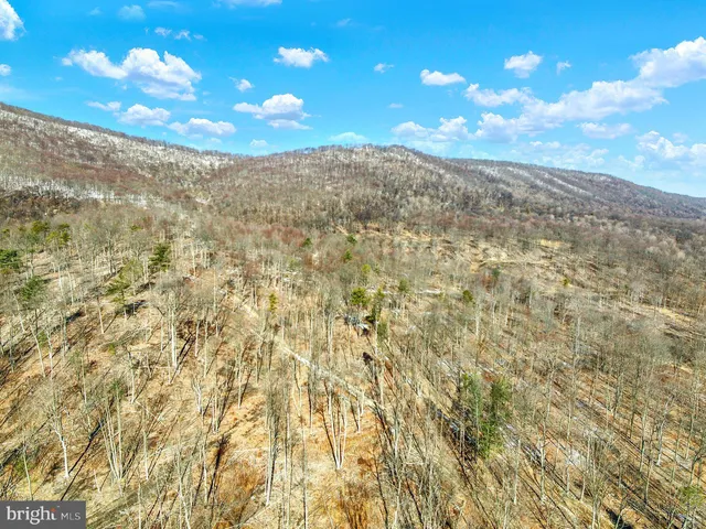 a view of a pathway with a building in the background