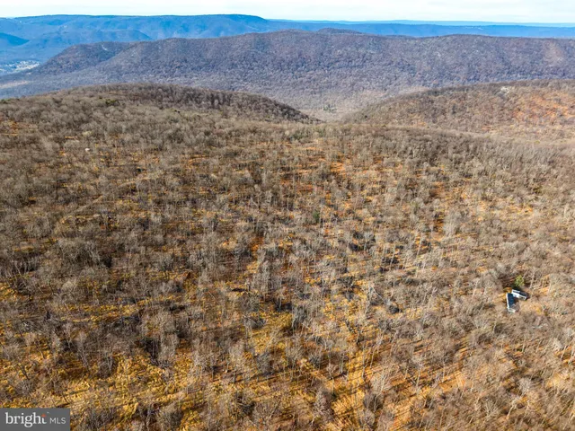a view of a dry yard with wooden floor