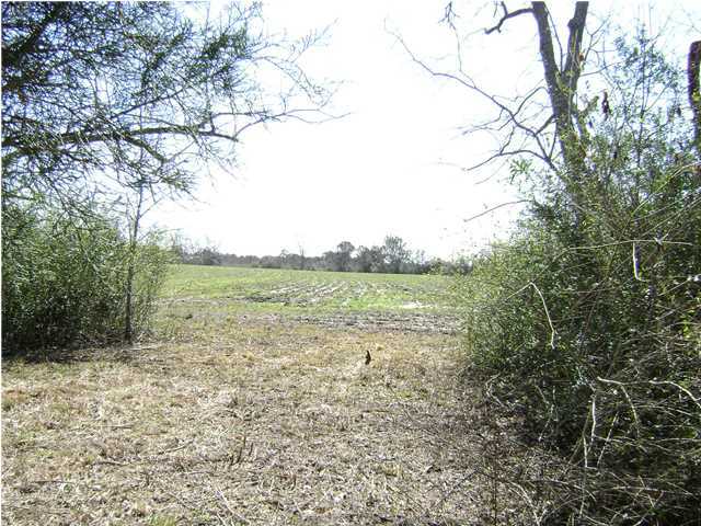 2454 Co Road DeFuniak Springs, FL 32433 - Photo 4 of 7 Additional Photo