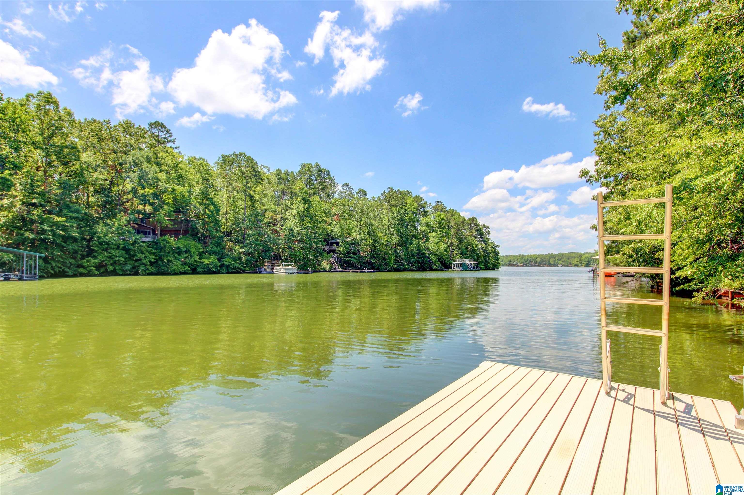 354 Swagg Cove Road Wedowee, AL 36278 - Photo 28 of 32